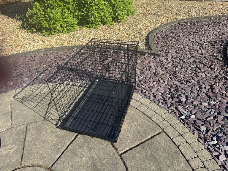 New Dog Cage 
