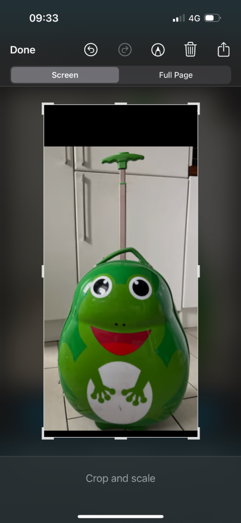 Kids suitcase 