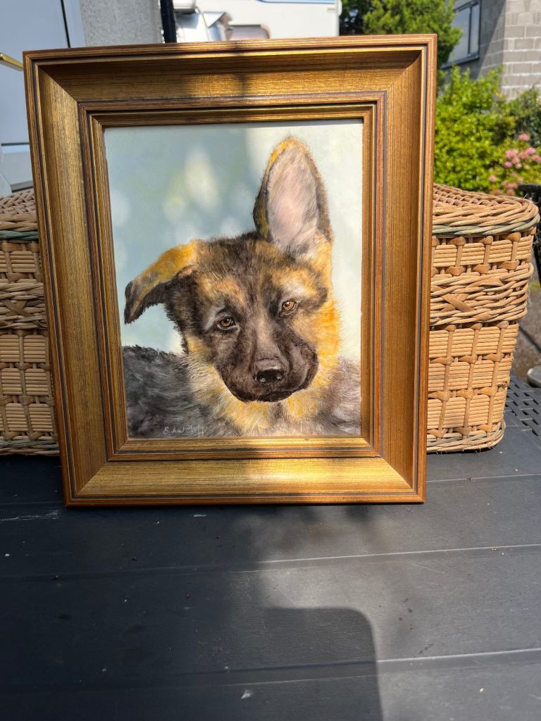Lovely framed picture/print of dog