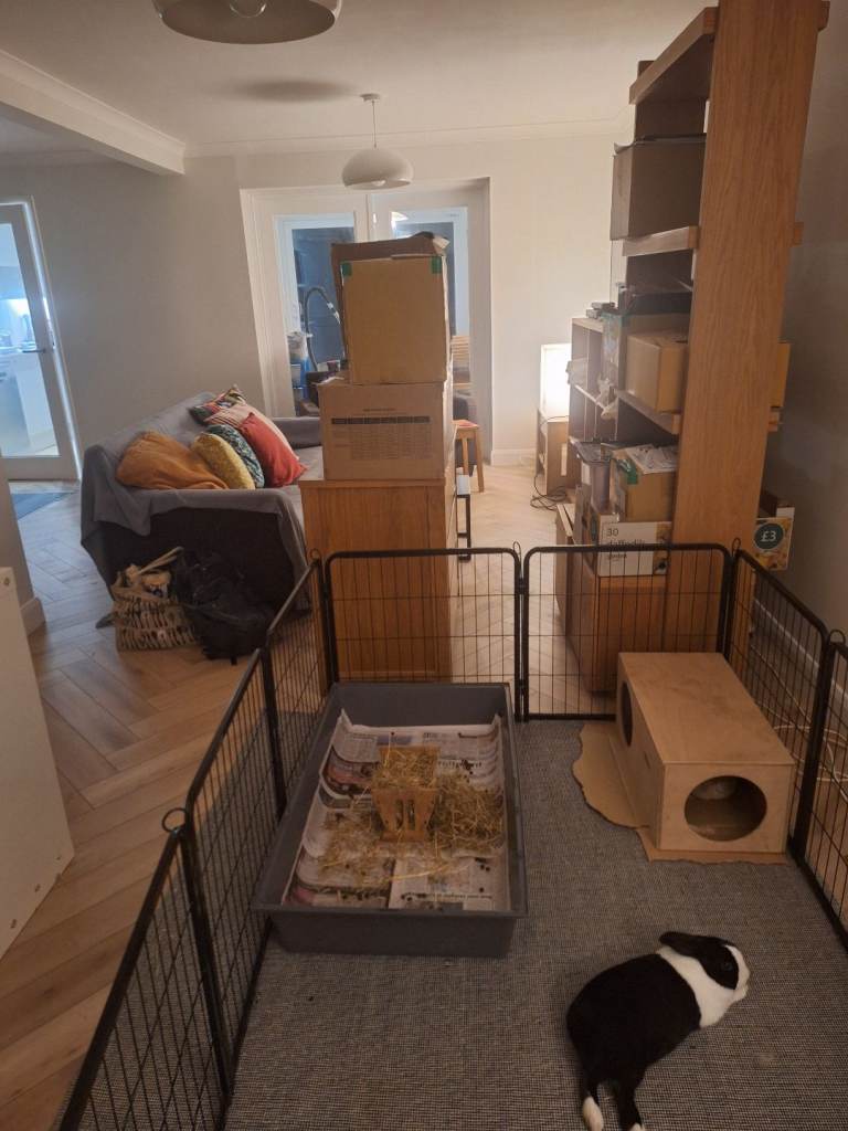 Pet Exercise Pen- XL