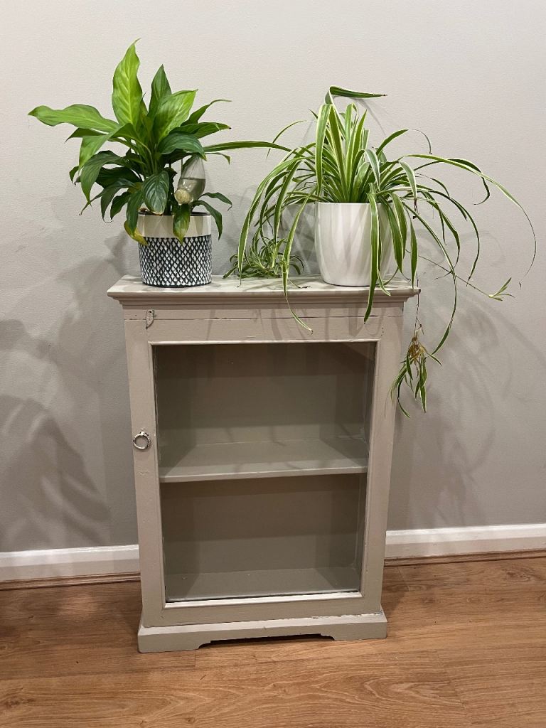 VINTAGE PAINTED GLASS FRONTED DISPLAY CABINET/ BOOK CASE SHELVES