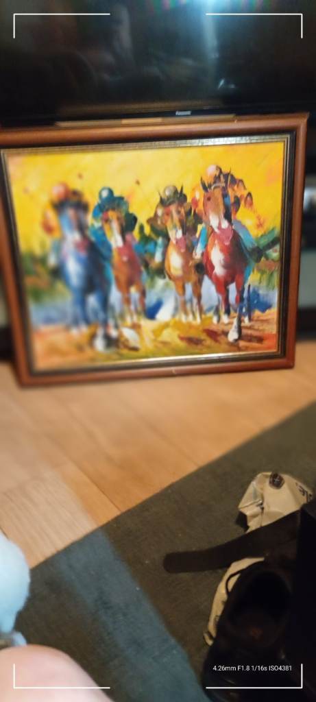 Framed horsesHorse Painting - Colourful and Unique