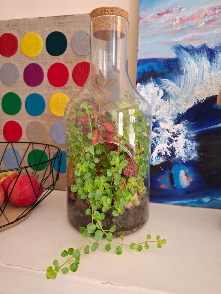 Glass Terrarium Bottle Garden with Cork Stopper