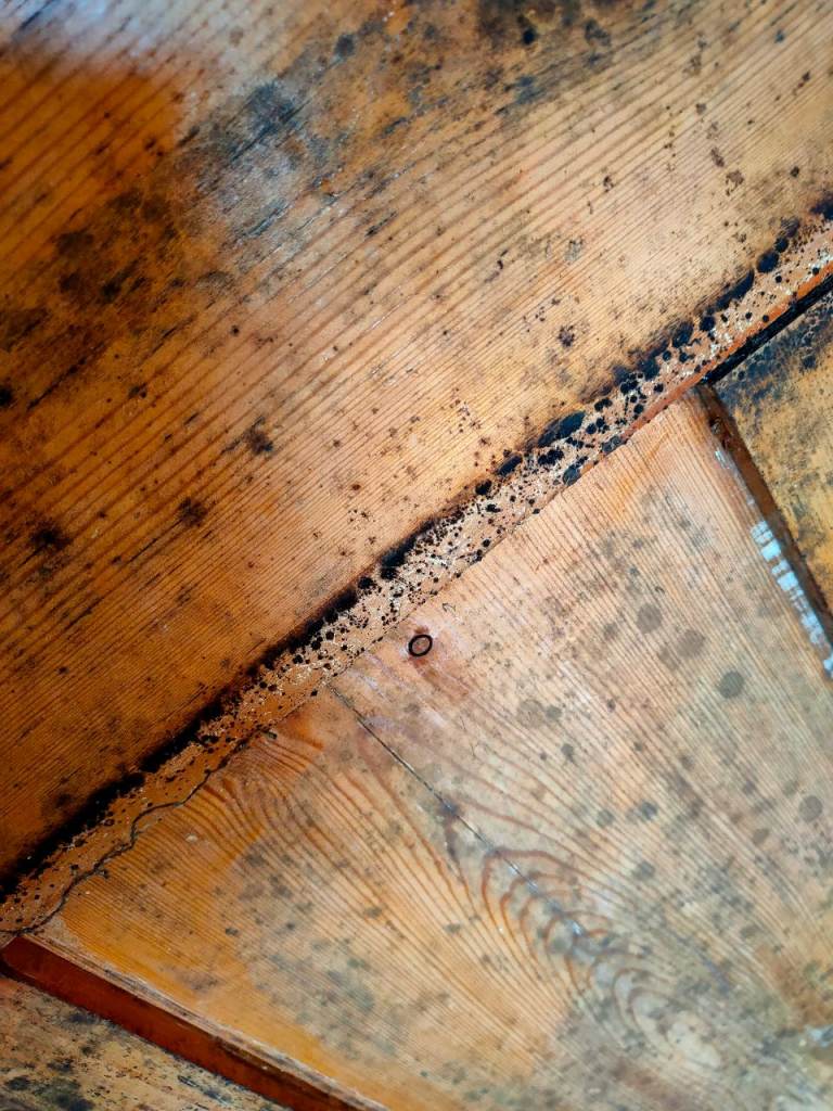 Internal Wooden Glazed Door