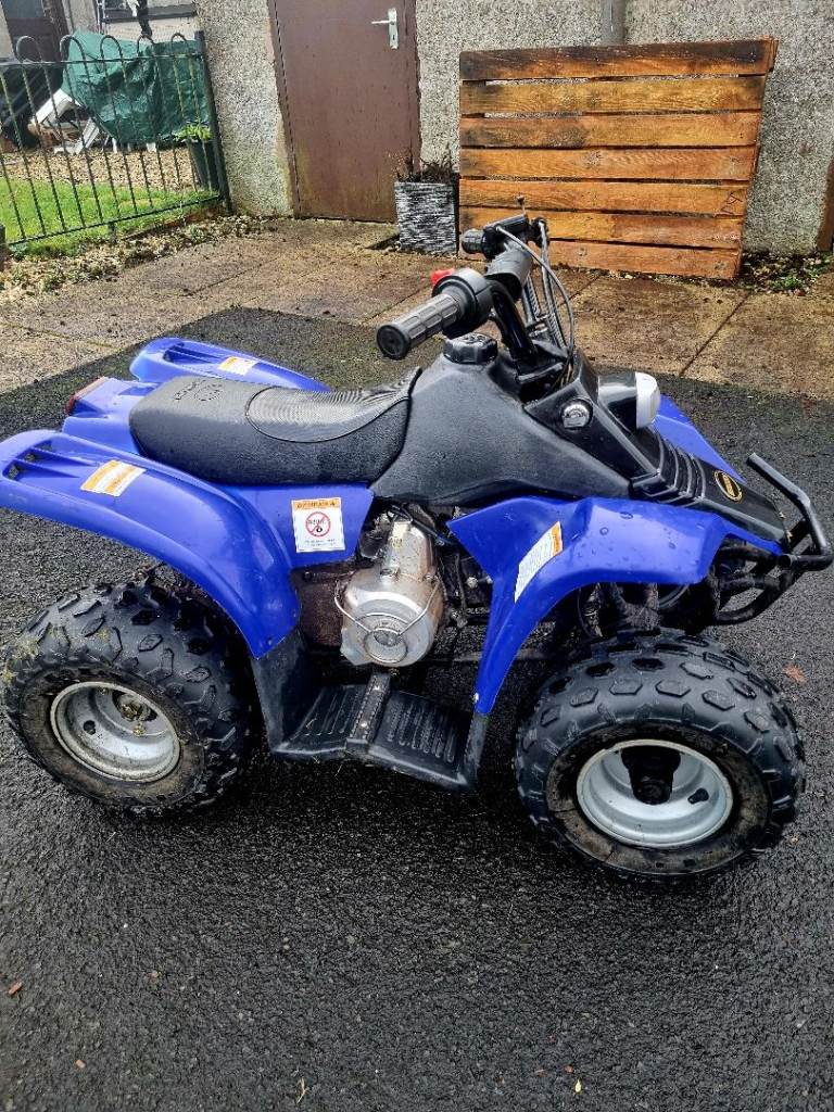 Quad Bike 50cc