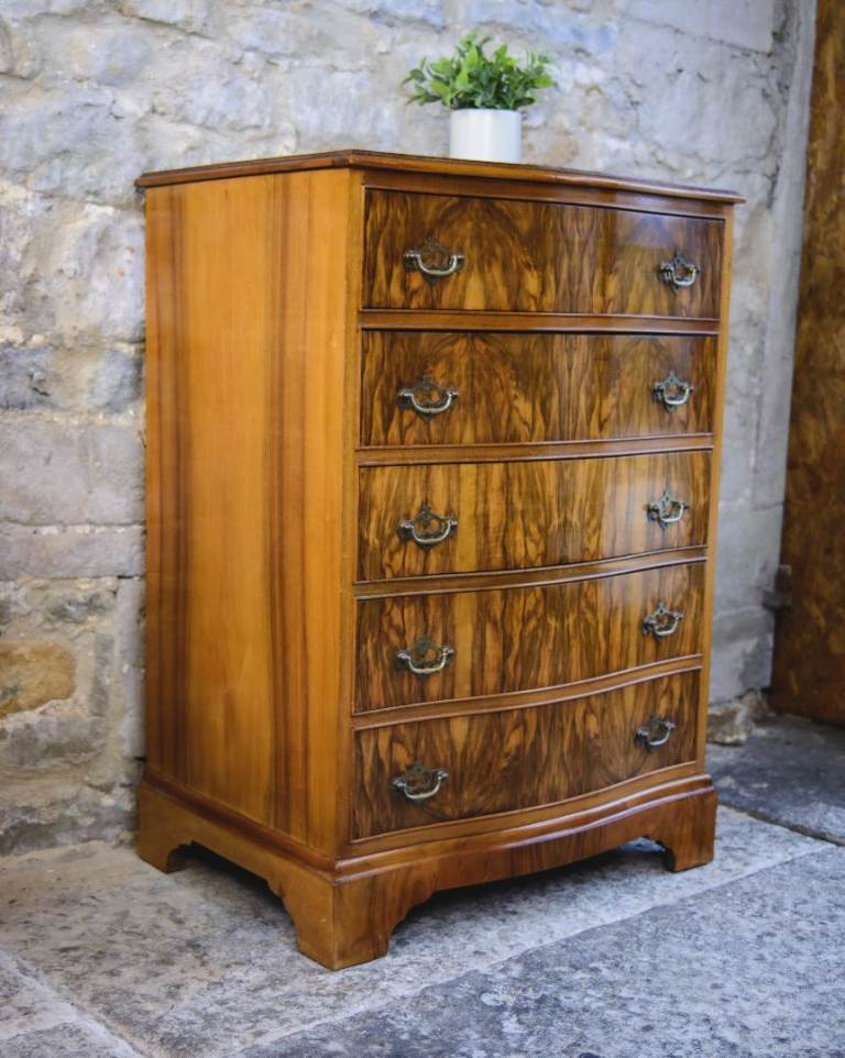 Regency Style Walnut Chest of Drawers - Serpentine Front