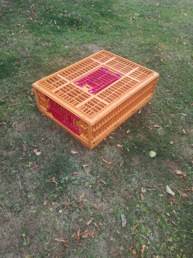 Mondial Poultry/Game Double Entry Crate Cage