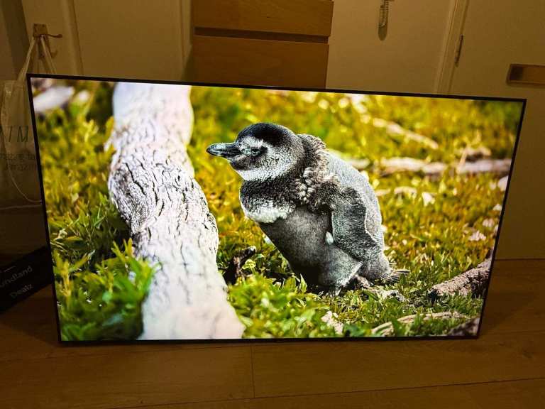 Samsung 65 inch Smart Tv - 2024 Model