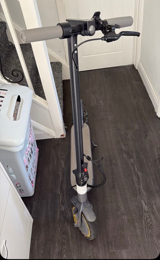 Electric scooter 