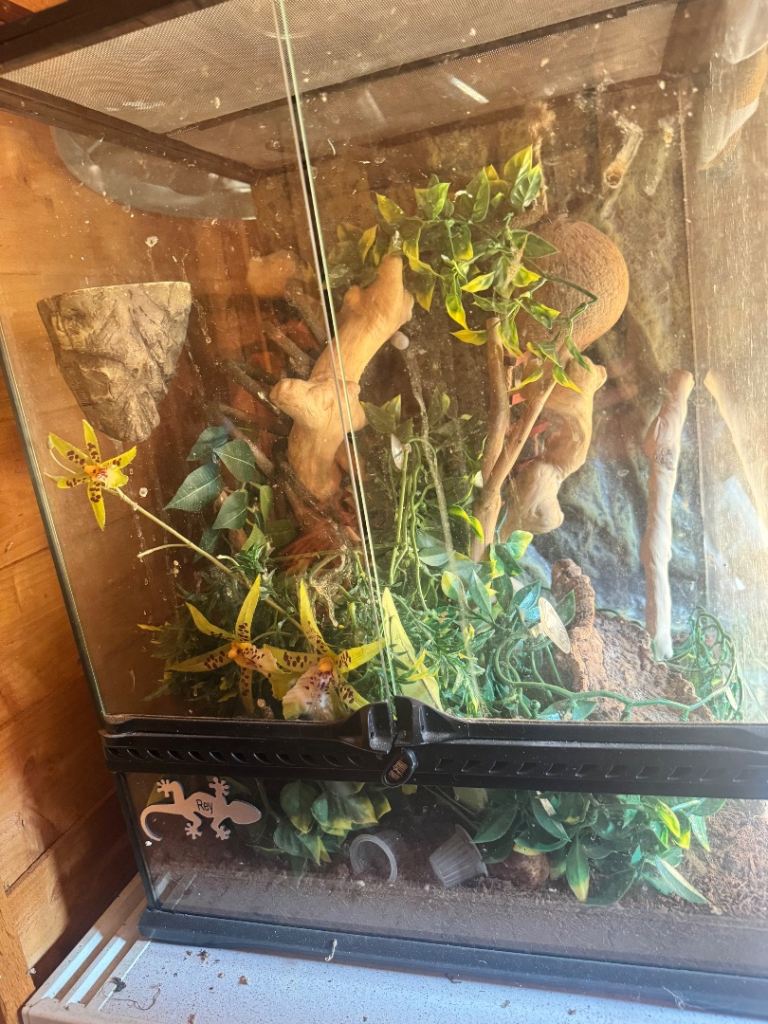 exo terra terrarium