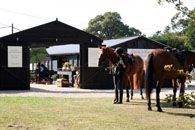 Office/Workshop/Studio