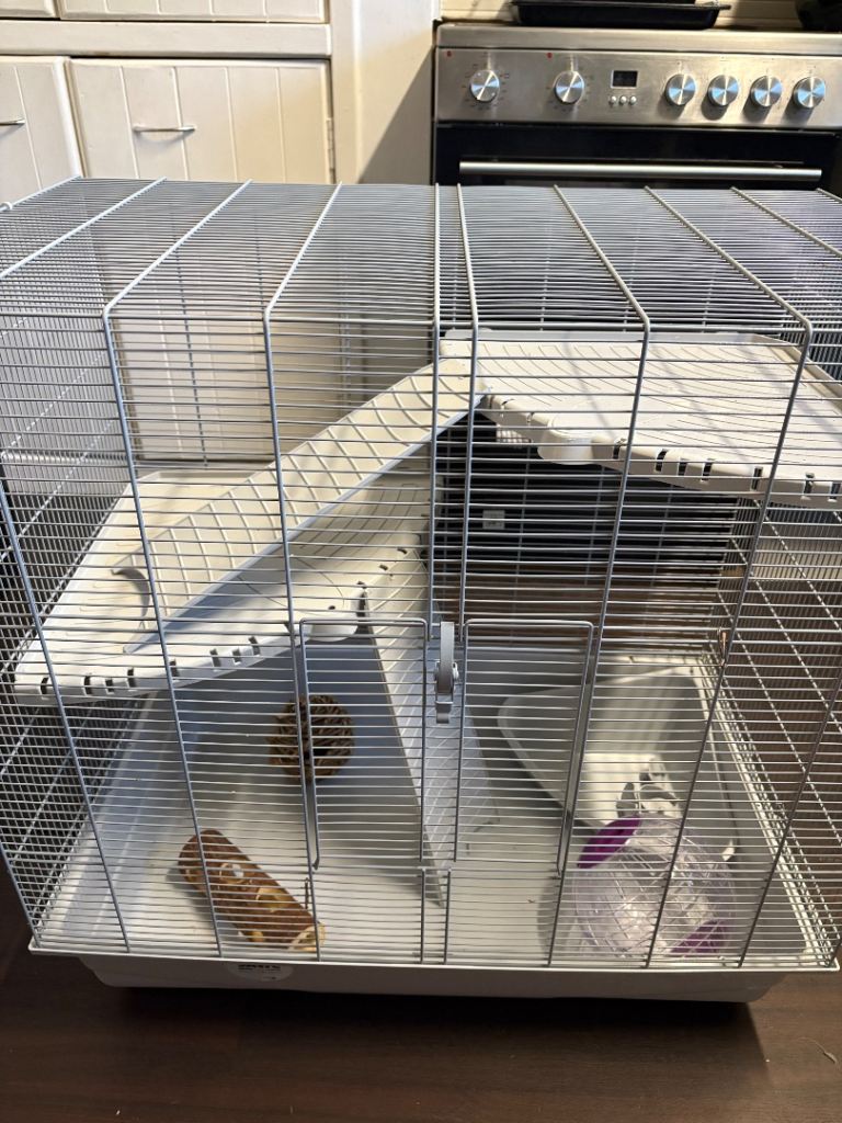 Rat/ferret/chinchilla cage