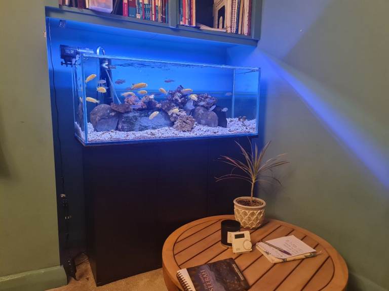 Bespoke Opti White Aquarium Fish Tank Stand with Glass Cover and Lights
