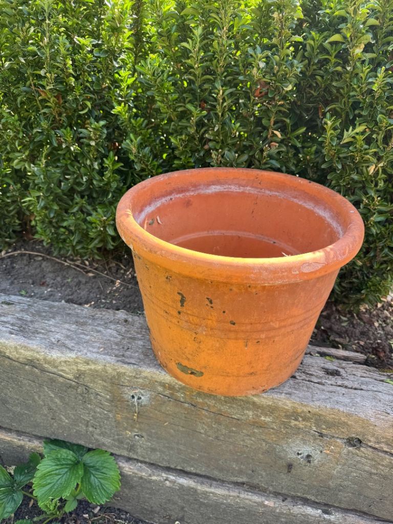Terracotta garden pot 