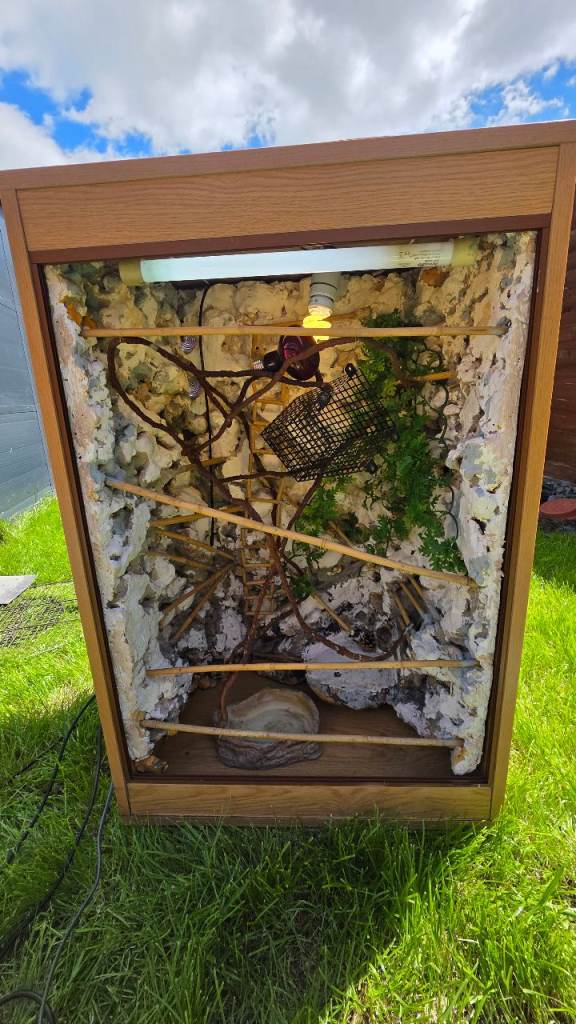 Terrarium