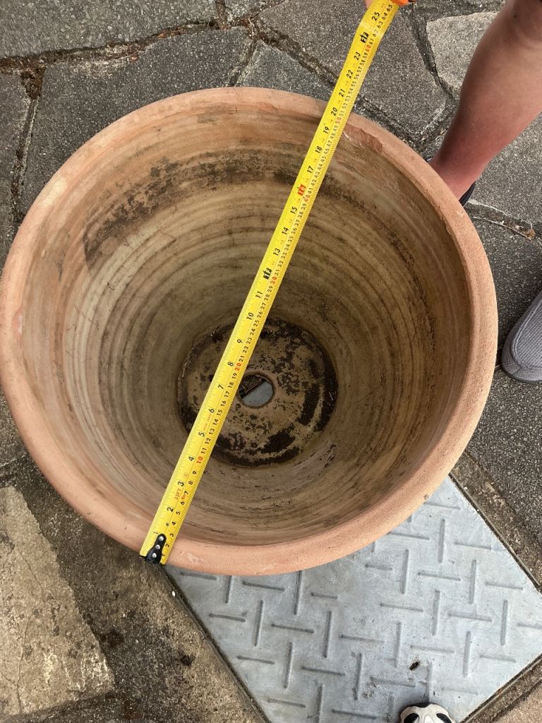Garden pots 