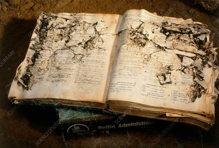 Damaged books 