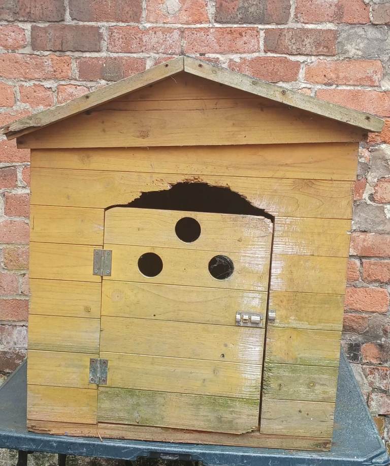 SMALL DOG BOX 