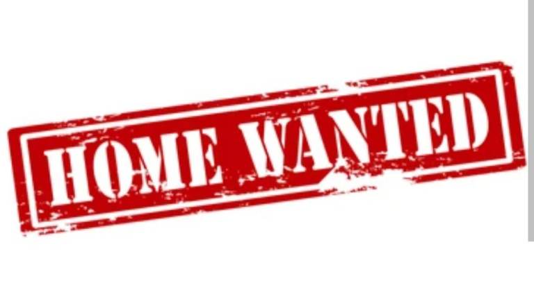 We need a family home