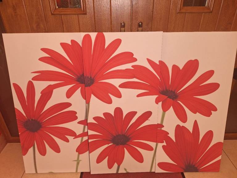 Large 3 piece canvas for sale.