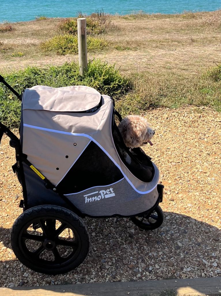 Innopet Sporty Evolution V2.0 Dog Pram and Bike Trailer with Rain Cover