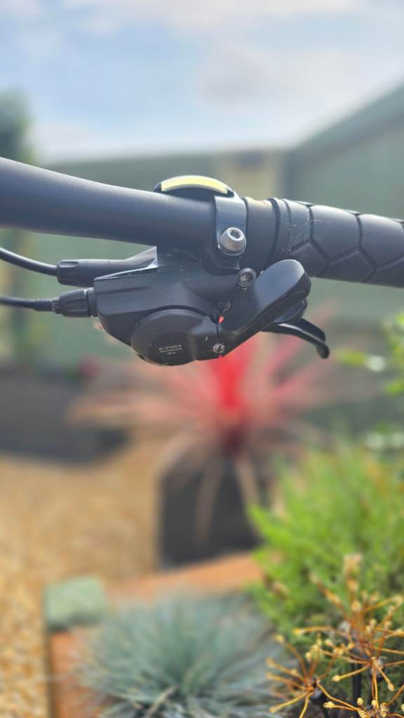 Cannondale Bad Boy 1 £500 ONO