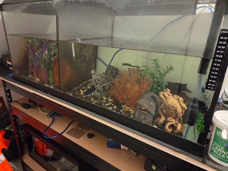 Large Glass Fish Tank, £100.00 for Sale in Perth, Perth and Kinross ...