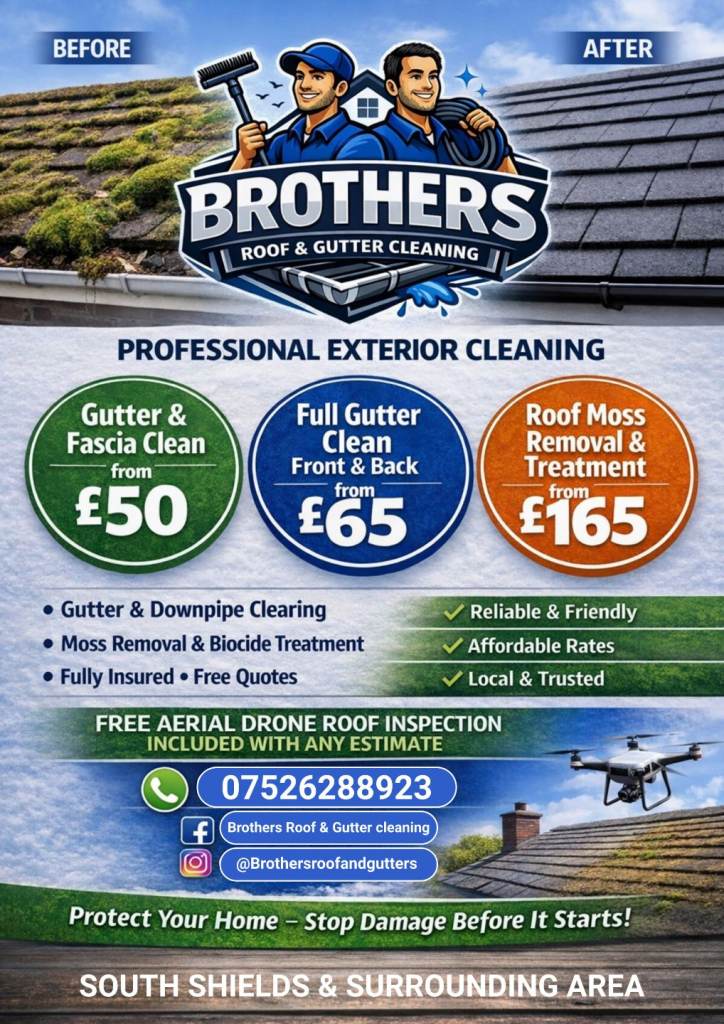 Brothers roof and gutter cleaning 