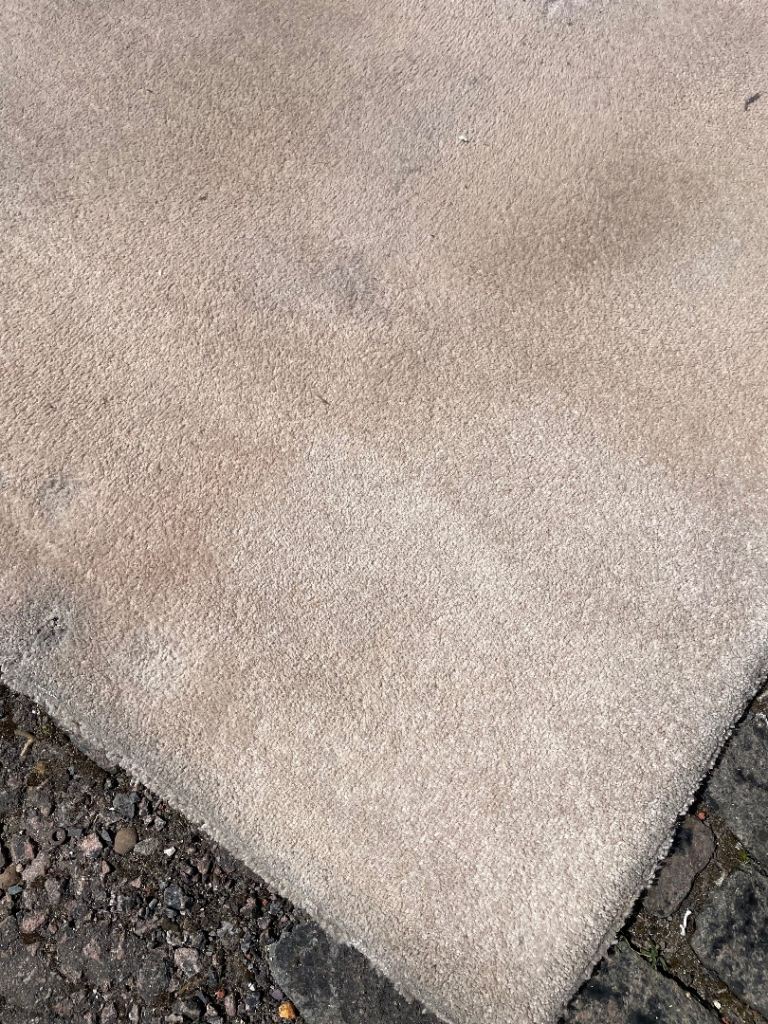 FREE CARPET 7 FT 9 IN x 9 FT