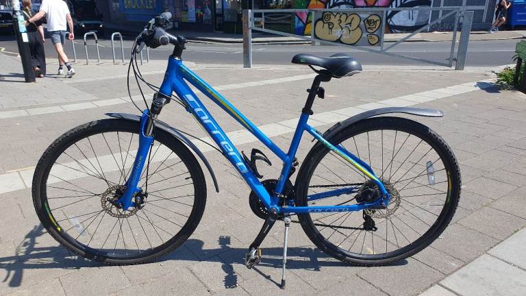 Blue Adult Mountain Bike