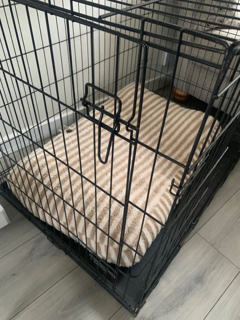 Dog crate 