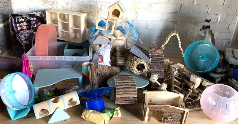 Hamster toys and accessories