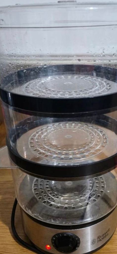 Food steamer 