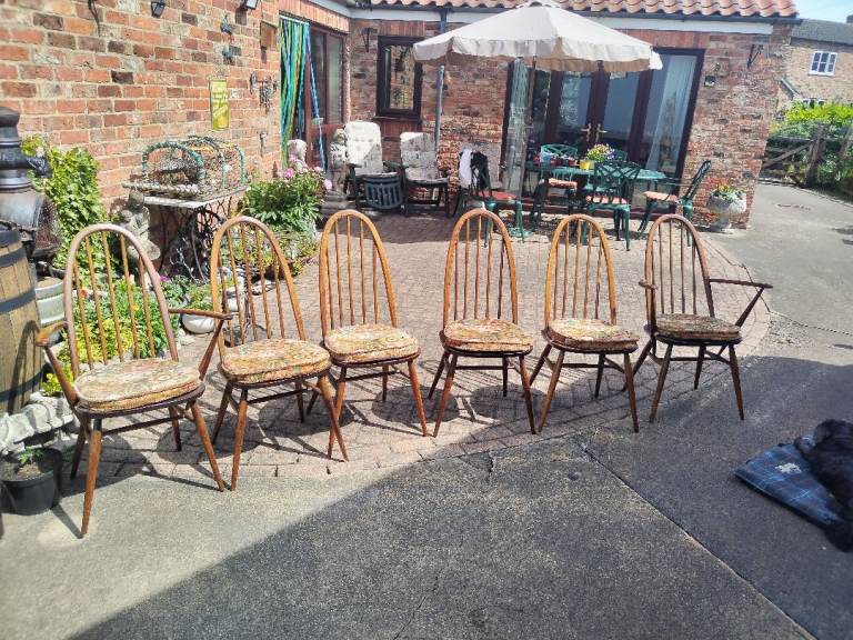 Ercol Windsor Quaker dining chairs 