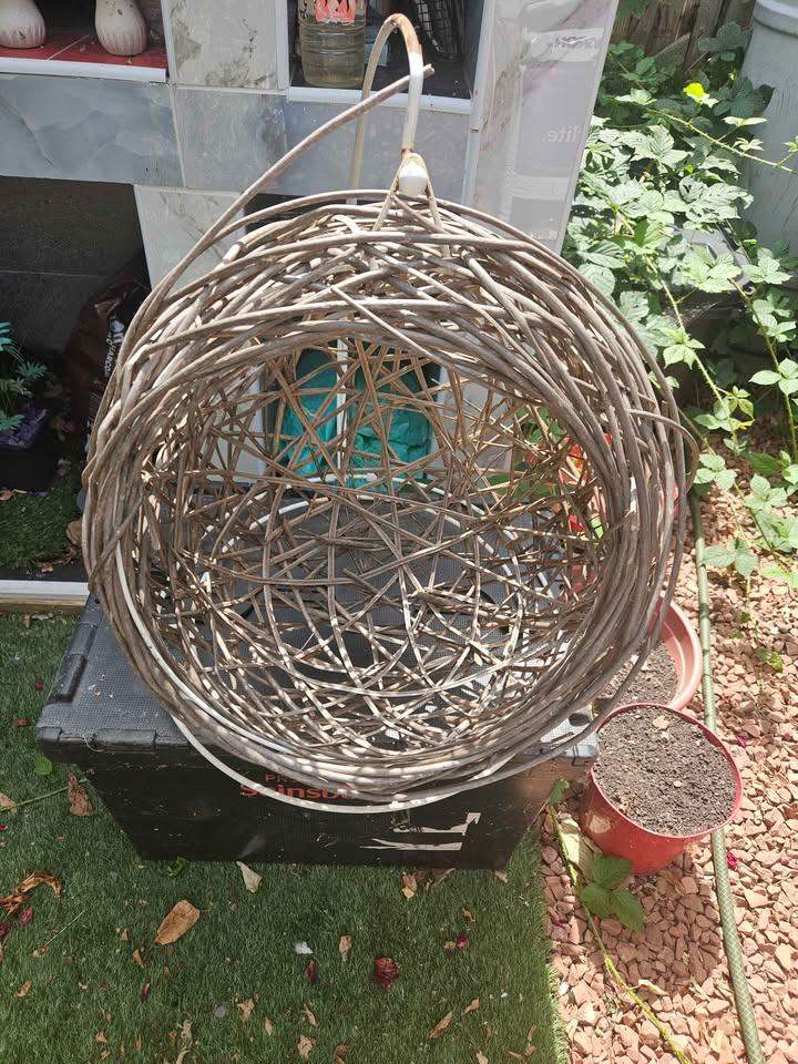 Cat wicker hanging hammock