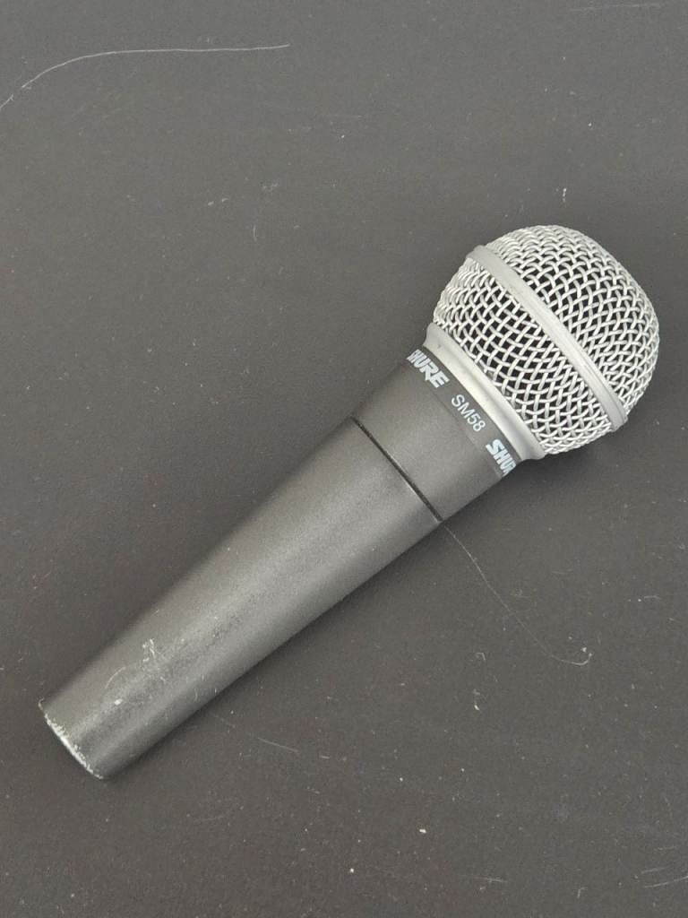 Shure SM58 Mic