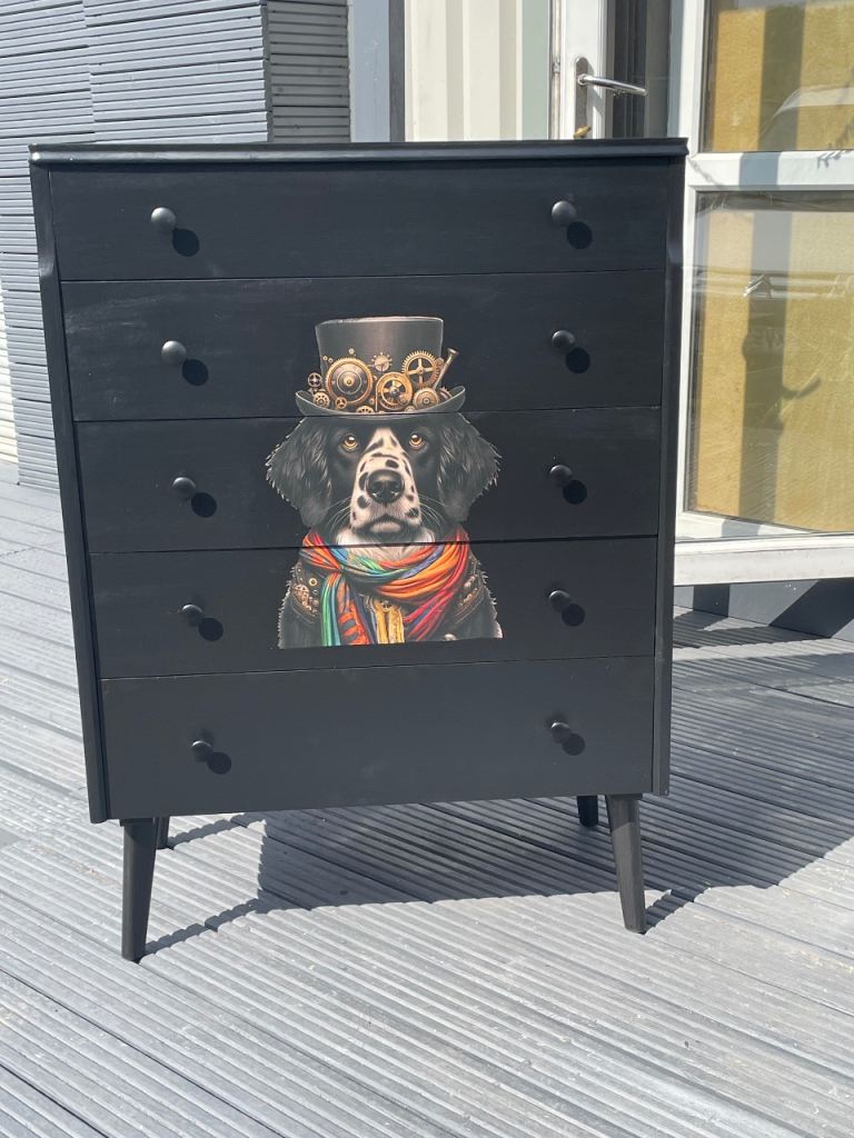 Quirky, steampunk dog drawers