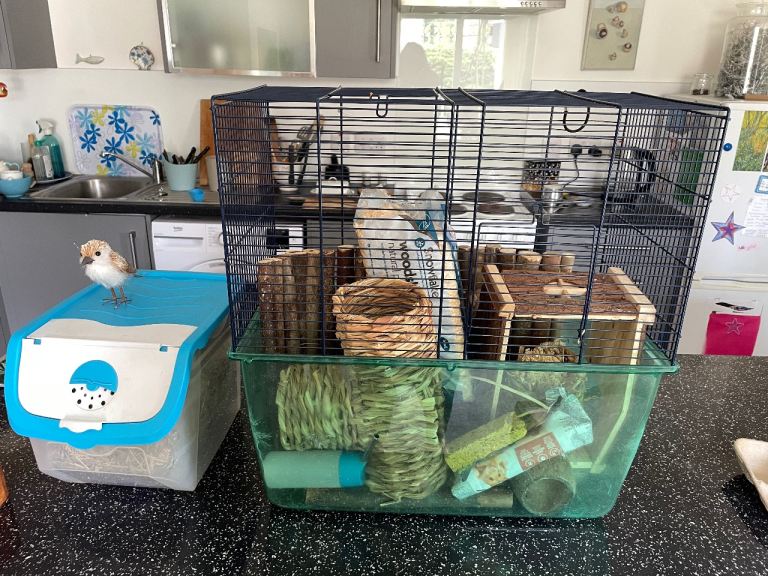 Gerbil Cage