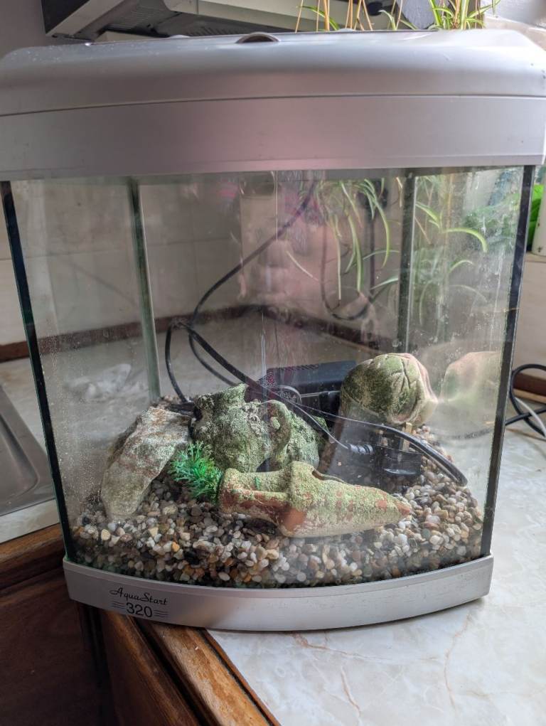 AquaStart fish tank