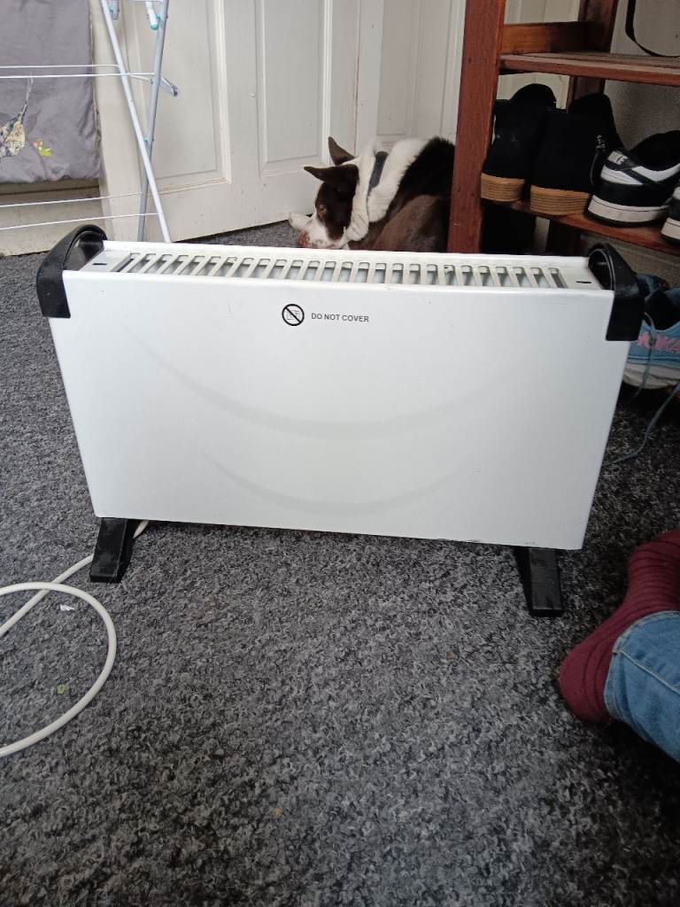 Heater