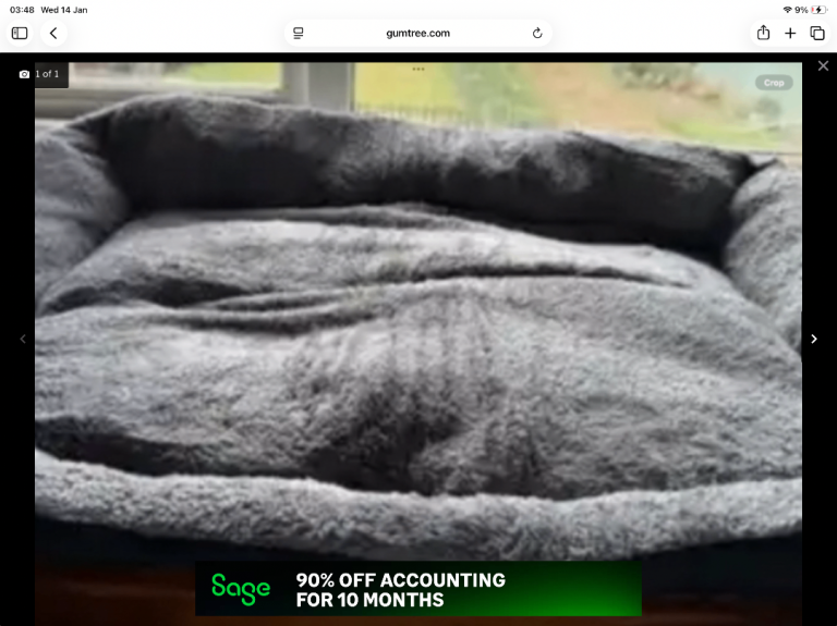 Xl super soft dog bed bargains £30