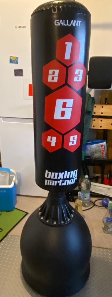 Gallant 5.5 ft  Punch Bag, Focus Mitts, Gloves