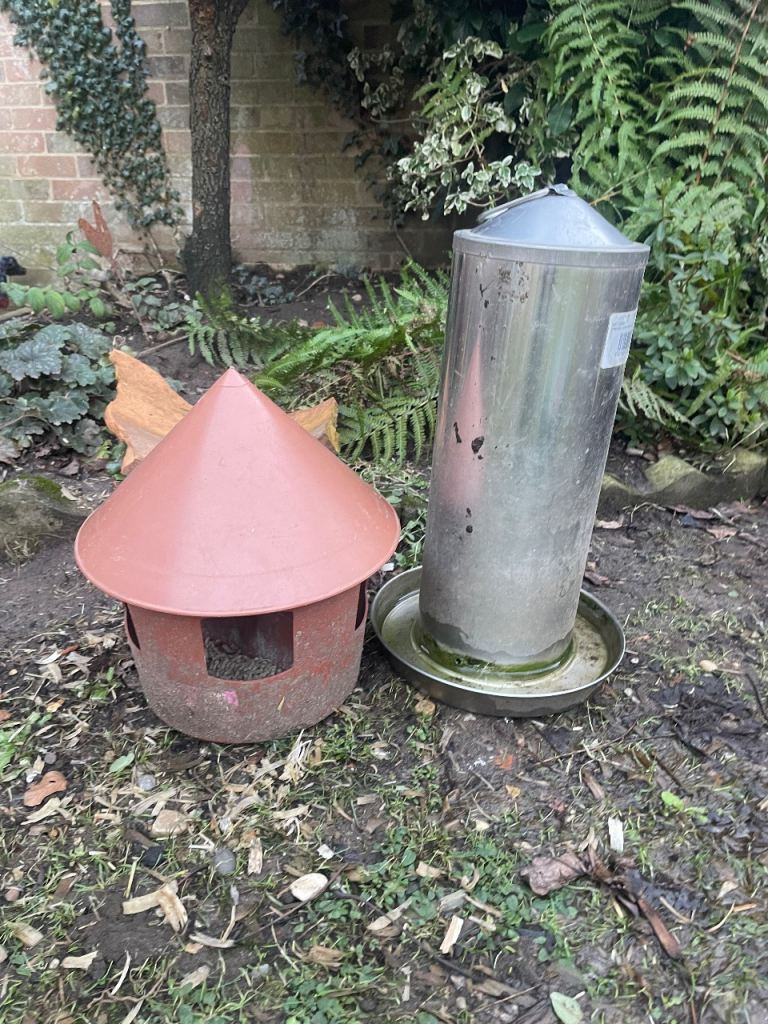 Poultry Drinker and Feeder