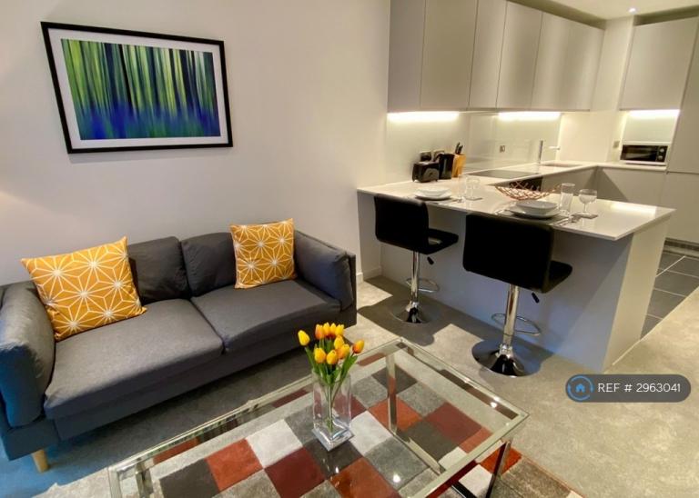 1 bedroom flat in The Crescent, Manchester, M5 (1 bed) (#2963041)