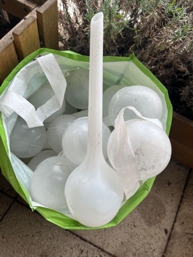 12 large water globes