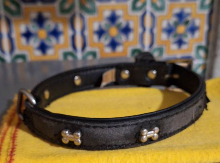 Dog Collar feat Dog Bone detail