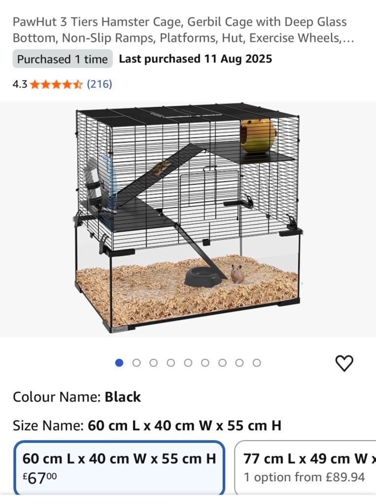 Hamster and full set up 