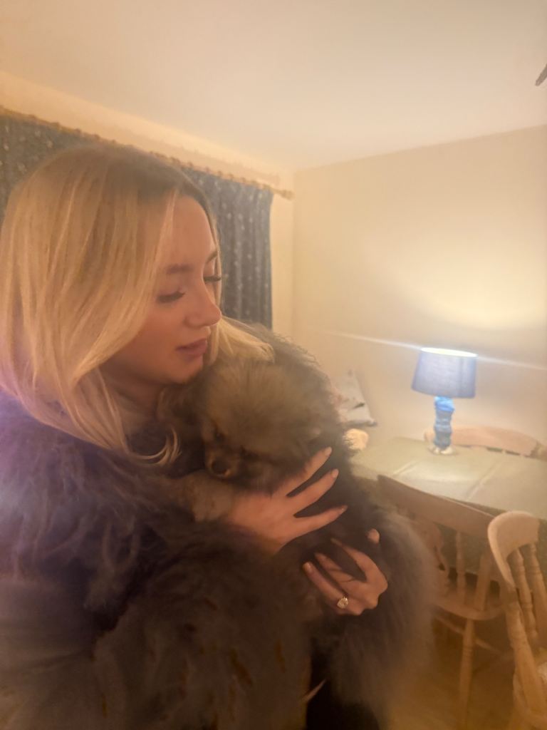 Stunning xxs Pomeranian baby boy