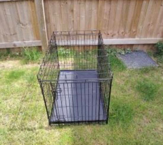 Large dog crate