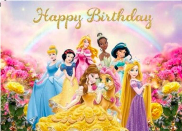 Disney Princess Themed Happy birthday Large Backdrop Birthday Party 